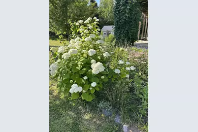 87985 Bark Point Rd, Herbster, WI 54844 - Photo 67