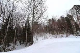 22715 Ash St, Cornucopia, WI 54827 - Photo 49