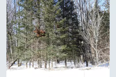 N8357 Down River Rd, Phillips, WI 54555 - Photo 3