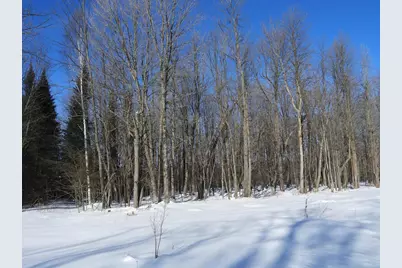 N8357 Down River Rd, Phillips, WI 54555 - Photo 5