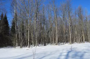 N8357 Down River Rd, Phillips, WI 54555 - Photo 5