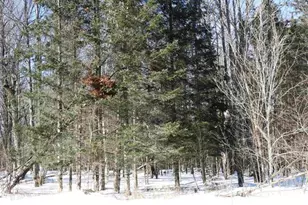 N8357 Down River Rd, Phillips, WI 54555 - Photo 3