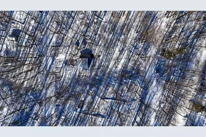 Lots 29-30 Summit Ave, Hayward, WI 54843 - Photo 5