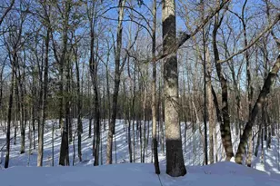 16090 W State Hwy 27, Hayward, WI 54843 - Photo 13