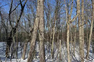 16090 W State Hwy 27, Hayward, WI 54843 - Photo 9