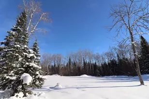 31715 Star Rte Rd, Bayfield, WI 54814 - Photo 9