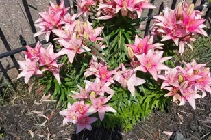 107 S 4th St, Bayfield, WI 54814 - Photo 27