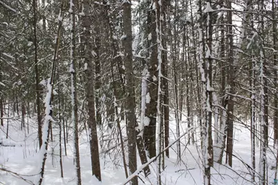 7195 E State Hwy 13, South Range, WI 54874 - Photo 63