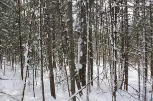 7195 E State Hwy 13, South Range, WI 54874 - Photo 63