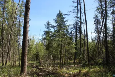 7195 E State Hwy 13, South Range, WI 54874 - Photo 99