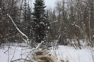 7195 E State Hwy 13, South Range, WI 54874 - Photo 71