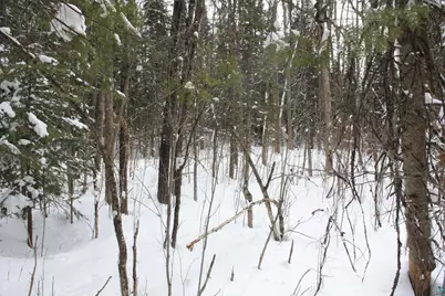 7195 E State Hwy 13, South Range, WI 54874 - Photo 65