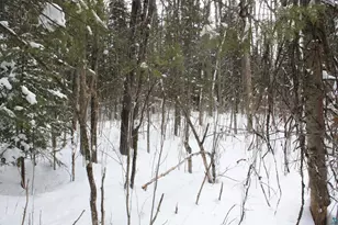 7195 E State Hwy 13, South Range, WI 54874 - Photo 65