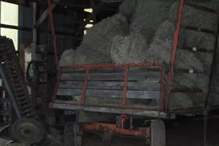 9255 E West Homestead Rd, Poplar, WI 54864 - Photo 33