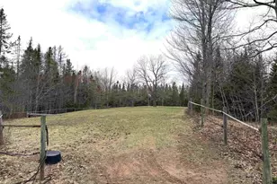 6588 S County Rd P, Lake Nebagamon, WI 54849 - Photo 47