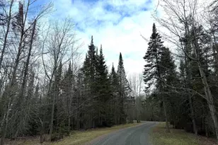 6588 S County Rd P, Lake Nebagamon, WI 54849 - Photo 51