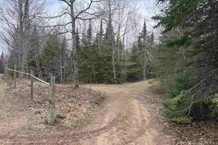 6588 S County Rd P, Lake Nebagamon, WI 54849 - Photo 59