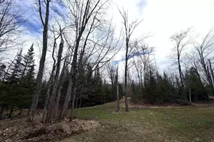 6588 S County Rd P, Lake Nebagamon, WI 54849 - Photo 57