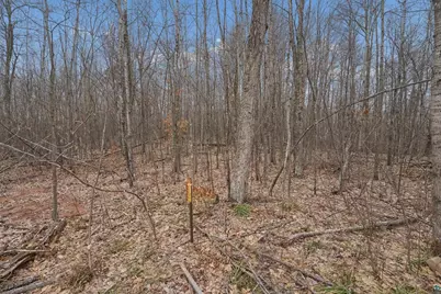 16640 Sand Hill Rd, Mason, WI 54856 - Photo 27