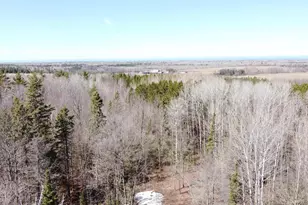 2950 Oulu Pioneer Rd, Iron River, WI 54847 - Photo 57