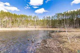 143Xx E Catherine Lake Rd, Solon Springs, WI 54873 - Photo 31