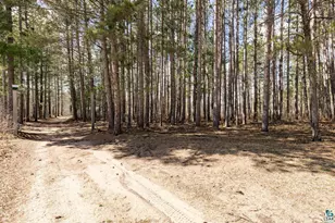143Xx E Catherine Lake Rd, Solon Springs, WI 54873 - Photo 19