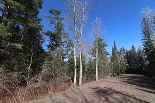 14615 Cranberry River Rd, Herbster, WI 54844 - Photo 45