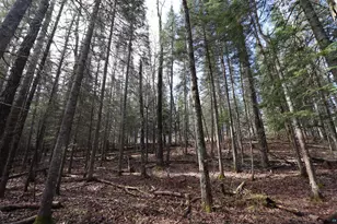 14615 Cranberry River Rd, Herbster, WI 54844 - Photo 13