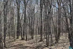 13160 County Rd B, Lake Nebagamon, WI 54849 - Photo 23