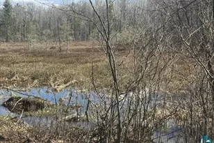 13160 County Rd B, Lake Nebagamon, WI 54849 - Photo 25
