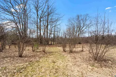 9942 Fire Tower Rd, Lake Nebagamon, WI 54849 - Photo 11
