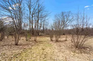 9942 Fire Tower Rd, Lake Nebagamon, WI 54849 - Photo 11
