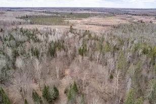9942 Fire Tower Rd, Lake Nebagamon, WI 54849 - Photo 7