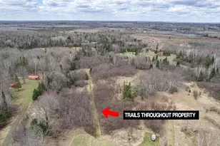 9942 Fire Tower Rd, Lake Nebagamon, WI 54849 - Photo 5