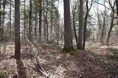 43725 Kavanaugh Rd, Cable, WI 54821 - Photo 35