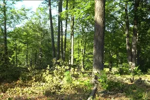 83Xxx Ashwabay Heights Rd, Bayfield, WI 54814 - Photo 3