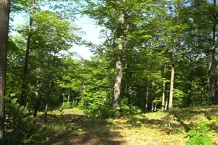 83Xxx Ashwabay Heights Rd, Bayfield, WI 54814 - Photo 9