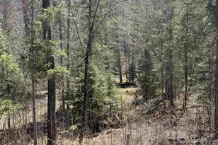 77410 Kaukamo Rd, Orienta, WI 54847 - Photo 21