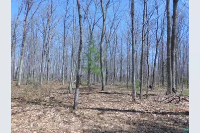 Xxxx Sajdak Rd, Iron River, WI 54847 - Photo 7