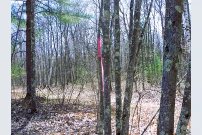 Xxxx Sajdak Rd, Iron River, WI 54847 - Photo 9