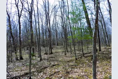 Xxxx Polkoski Way, Iron River, WI 54847 - Photo 23
