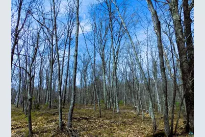 Xxxx Polkoski Way, Iron River, WI 54847 - Photo 5