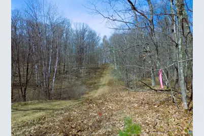 Xxxx Polkoski Way, Iron River, WI 54847 - Photo 7