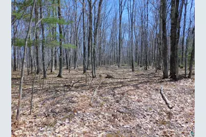 Xxxx Polkoski Way, Iron River, WI 54847 - Photo 13