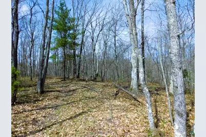 Xxxx Polkoski Way, Iron River, WI 54847 - Photo 19