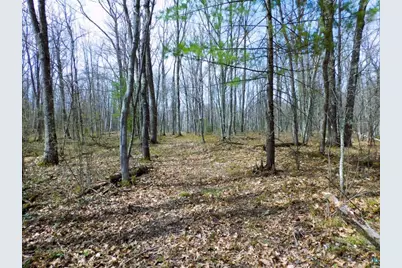 Xxxx Polkoski Way, Iron River, WI 54847 - Photo 17