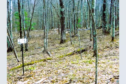 Xxxx Polkoski Way, Iron River, WI 54847 - Photo 3