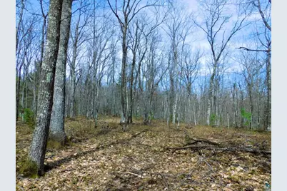 Xxxx Polkoski Way, Iron River, WI 54847 - Photo 7