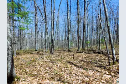 Xxxx Polkoski Way, Iron River, WI 54847 - Photo 11