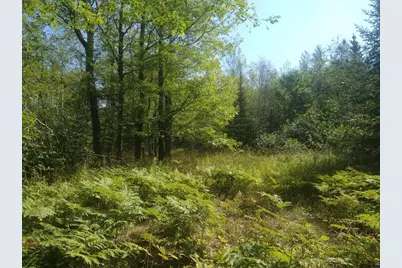 85Xxx Fireplace Rd, Port Wing, WI 54865 - Photo 3